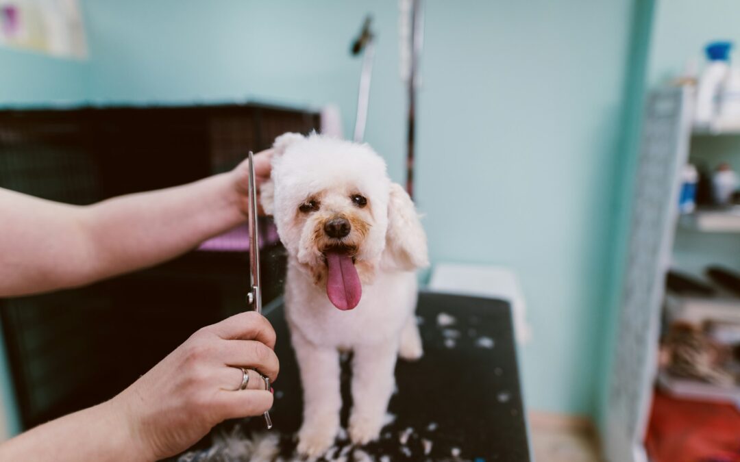 Grooming