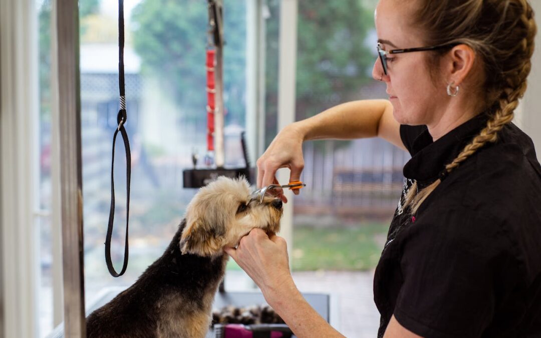 dog grooming
