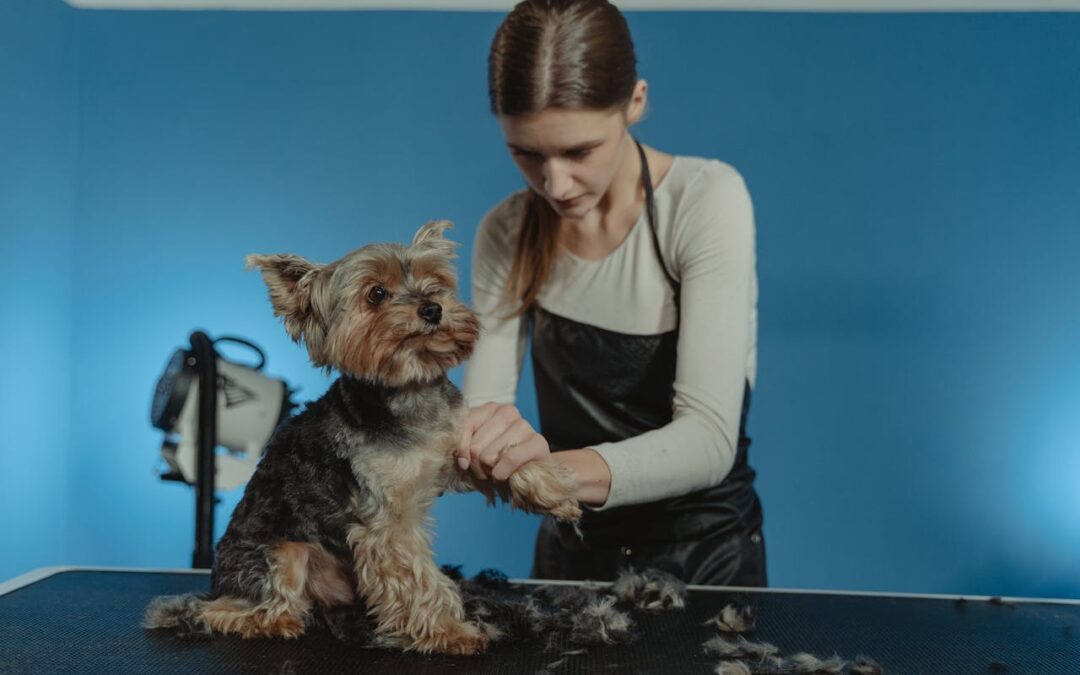 Pet Grooming